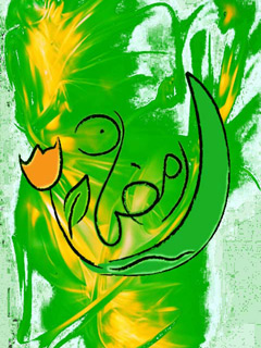 Ramadan Kareem wallpaper for Windows Phone